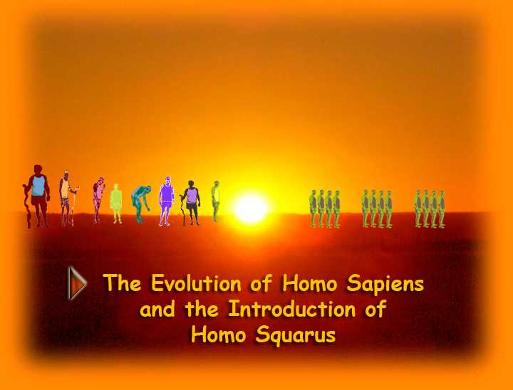 The Evolution of Homo Sapiens and the Introduction of Homo Squarus - DVD